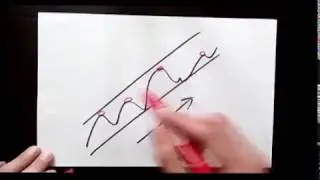 Тренд и его виды