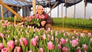 Дарите женщинам цветы. А мы стараемся сделать ваш праздник лучше