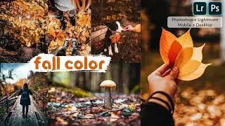 COLOR GRADING PRESET - MOODY FALL COLOR TONE PRESET - AUTUMN FILTER - DNG & XMP ( NO PASS )