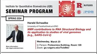 NMR contributions to RNA Structural Biology and its application to studies of viral genomes