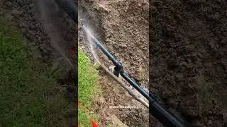 GET IN LINE! - WTB