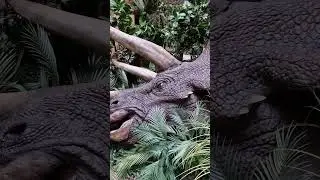 Jurassic park
