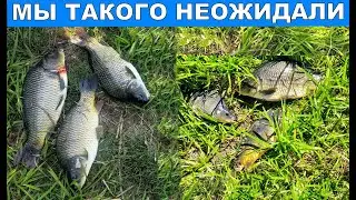 КОРОП НА 3K BAITS / Ловля Коропа