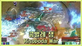 Risopoda War