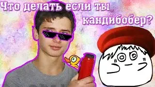 Что делать если ты кандибобер? #4