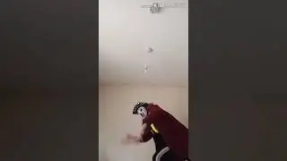 Nudle
