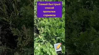 Самый быстрый и лёгкий способ прополки сорняков #shorts