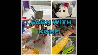 Learn with Kobe : Shapes, Colors and Insects