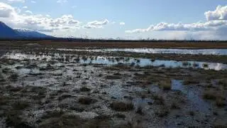 Sandhills on the hayflats.