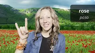 Bulgarian Sign Language | български жестомимичен език (БЖЕ)