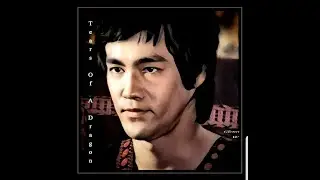 Faces of Bruce Lee Pt 48