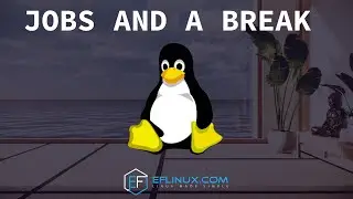 About Jobs and a Break