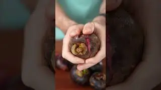 Do You Know These Fruits? Ep.1