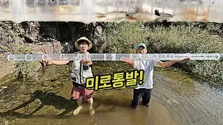 미로통발로 물고기 유인해보기!