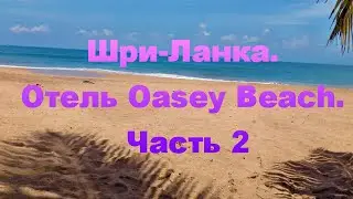 Шри-Ланка. Отель Oasey Beach. Часть 2