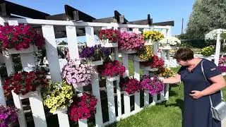 День открытых дверей в Егорьевском/21.08.24 #залуковицейтюльпановкомне