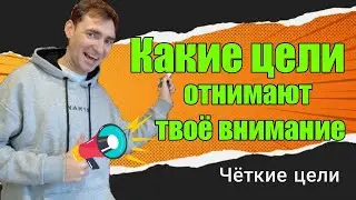 ПРОВЕРКА ЦЕЛЕЙ НА ЭФФЕКТИВНОСТЬ. Идеальное построение целей. ХОРОШИЕ ЦЕЛИ.