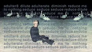 Sega Bodega - Adulter8 (Lyric Video)