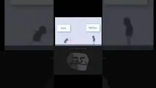 Python Developer Swagger 😅