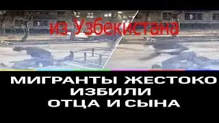 Видео: мигранты-грабители жестоко избили отца и сына