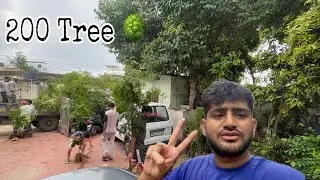 200 TREE AGYE + KANA K LEYE JOB ? 😂🌳
