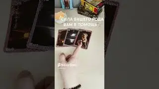 28 сентября 2024 г.