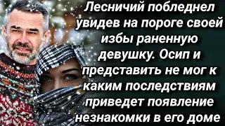 Лесничий побледнел увидев на пороге своей избы израненную незнакомку, но чем обернется эта встреча..