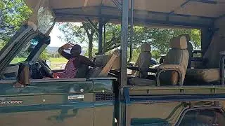 Masai Mara safari experience with open jeep 4*4