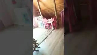 моя жизнь с моей младшей сестрой настей
