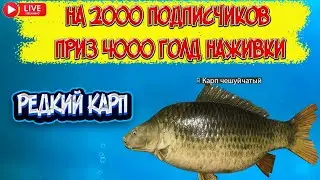 РУССКАЯ РЫБАЛКА 4(РР4)- РЕДКИЙ ТРОФЕЙ  КАРПА СИНИЙ КАРП