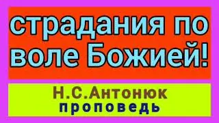 страдания по воле Божией! ( Н.С.Антонюк, проповедь).