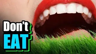 Why Can't Humans Eat Grass?