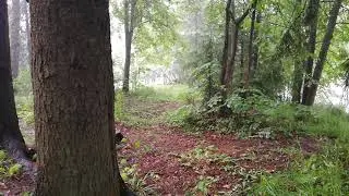 АБРАМЦЕВО,дождь.19.07.2020г. № 1