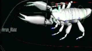 Rigging Show Reel CuBe Bull
