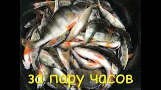 Ловля спиннингом на мормышку. Микро-джиг или мормышинг)) Учимся ловить.Рыбалка 2020