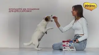 МНЯМС 2022 Стейки