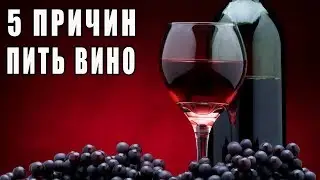 УЗНАЙ 5 Причин Пить Красное Вино Каждый День