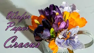 Wafer Paper CROCUSES