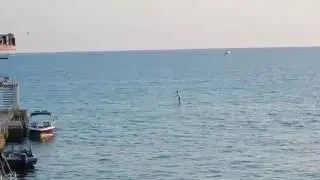 серфер в поисках волны