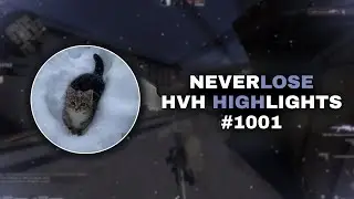 hvh highlights 