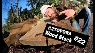 Одна из первых деревяшек Топоров