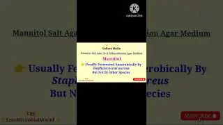 Mannitol Salt Agar 