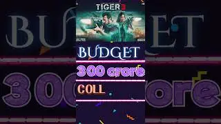 Tiger 3 budget and collection