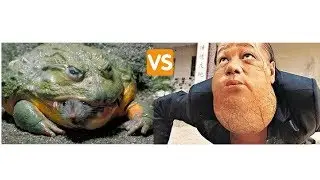 Frog fighting technique