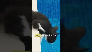 Как наполнить бассейн водой? 