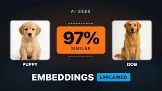 Embeddings & Vector Databases Explained