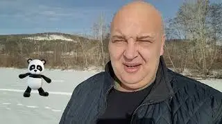Правдивый отзыв о мессенджере Панда, который нам платит каждый день. Месяц использования
