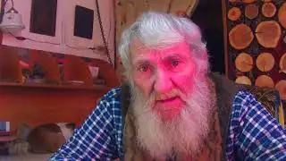 ЕЩЕ РАЗ О ПЧЕЛЕ.