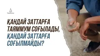 ҚАНДАЙ ЗАТТАРҒА ТАЯММУМ СОҒЫЛАДЫ? БЕТОН, ЛЕВКАСҚА СОҒЫЛА МА?