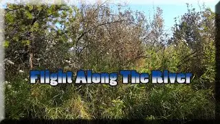 Flight Along The River 2020